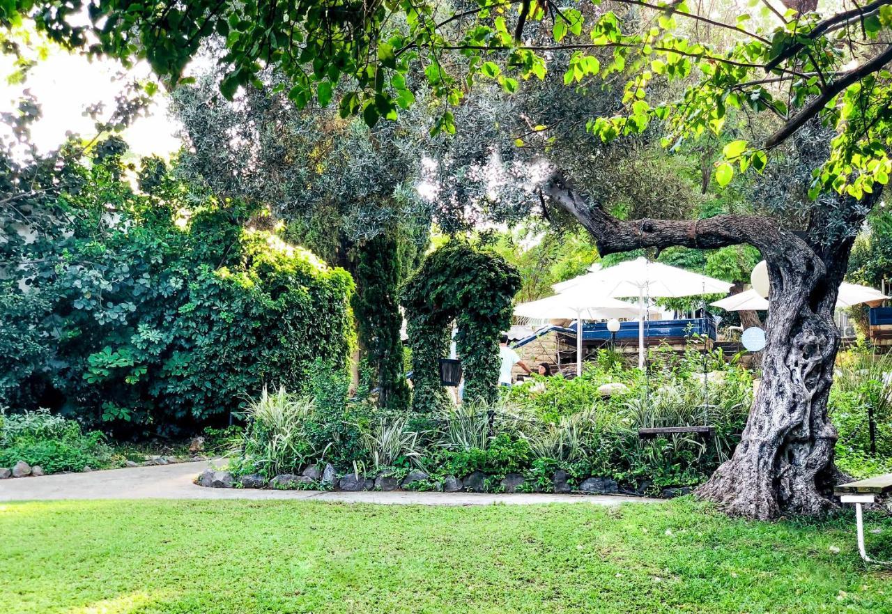 Travel Hotel Gesher Haziv Gesher HaZiv Exterior foto